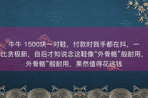 牛牛 1500块一对鞋，付款时我手都在抖，一启动以为女儿攀比贪极新，自后才知说念这鞋像“外骨骼”般耐用，果然值得花这钱