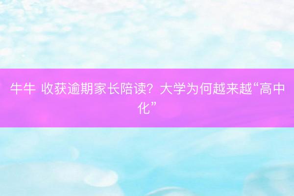 牛牛 收获逾期家长陪读?大学为何越来越“高中化”