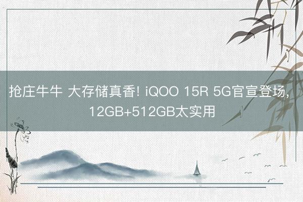 抢庄牛牛 大存储真香! iQOO 15R 5G官宣登场， 12GB+512GB太实用