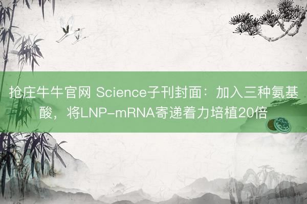抢庄牛牛官网 Science子刊封面：加入三种氨基酸，将LNP-mRNA寄递着力培植20倍