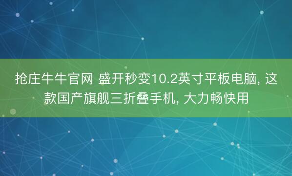 抢庄牛牛官网 盛开秒变10.2英寸平板电脑， 这款国产旗舰三折叠手机， 大力畅快用