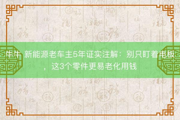 牛牛 新能源老车主5年证实注解:别只盯着电板,这3个零件更易老化用钱