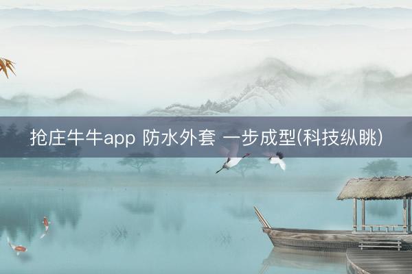 抢庄牛牛app 防水外套 一步成型(科技纵眺)