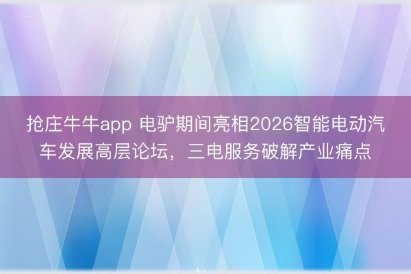 抢庄牛牛app 电驴期间亮相2026智能电动汽车发展高层论坛,三电服务破解产业痛点