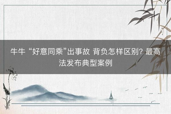 牛牛 “好意同乘”出事故 背负怎样区别? 最高法发布典型案例