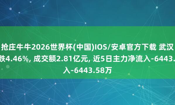 抢庄牛牛2026世界杯(中国)IOS/安卓官方下载 武汉天源跌4.46%， 成交额2.81亿元， 近5日主力净流入-6443.58万