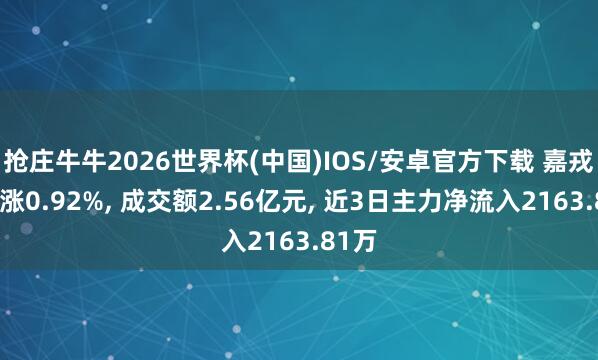 抢庄牛牛2026世界杯(中国)IOS/安卓官方下载 嘉戎手艺涨0.92%， 成交额2.56亿元， 近3日主力净流入2163.81万