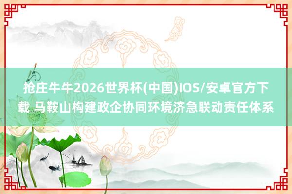 抢庄牛牛2026世界杯(中国)IOS/安卓官方下载 马鞍山构建政企协同环境济急联动责任体系
