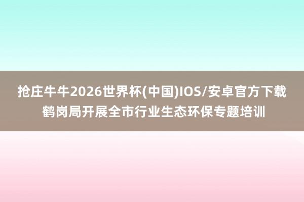抢庄牛牛2026世界杯(中国)IOS/安卓官方下载 鹤岗局开展全市行业生态环保专题培训