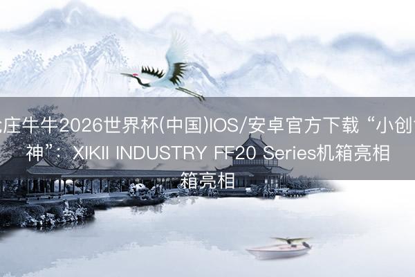 抢庄牛牛2026世界杯(中国)IOS/安卓官方下载 “小创世神”：XIKII INDUSTRY FF20 Series机箱亮相