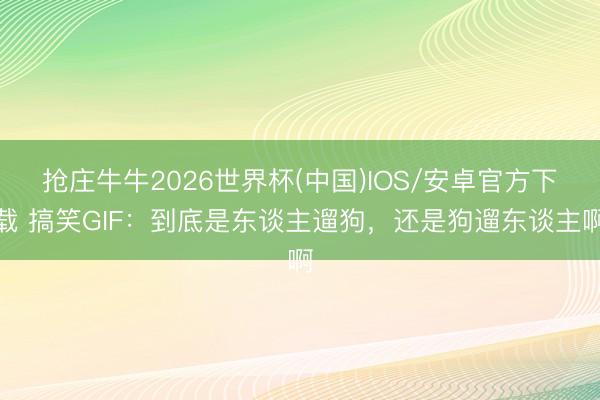 抢庄牛牛2026世界杯(中国)IOS/安卓官方下载 搞笑GIF:到底是东谈主遛狗,还是狗遛东谈主啊